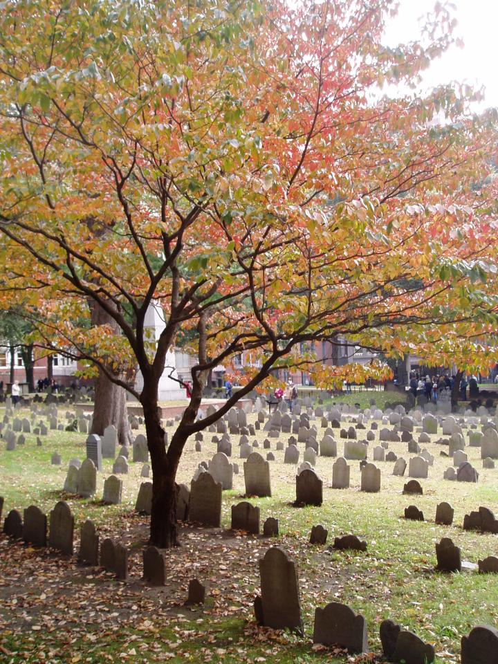 Granary Burying Ground Fall 